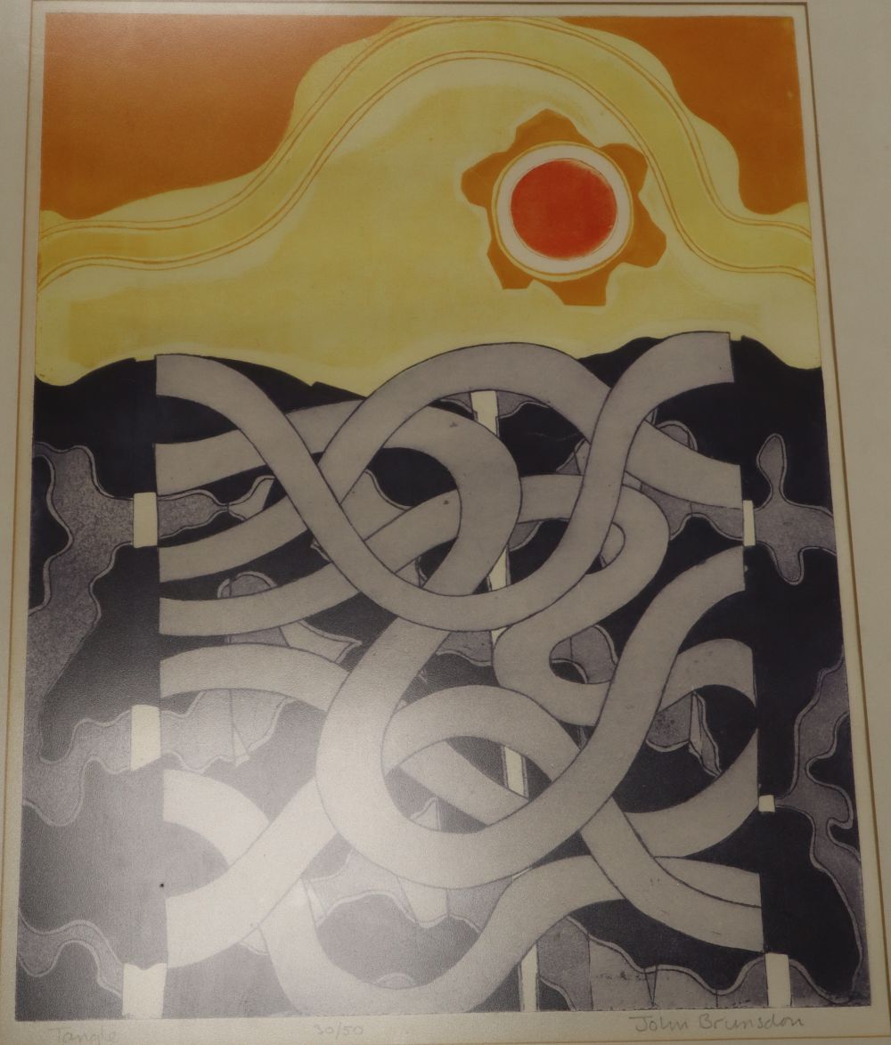 John Brunsden (1933-2014), two limited edition prints, Tangle and Nocturn, signed, 30/50 and 28/75, 62 x 47cm